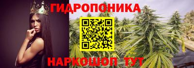 мескалин Кингисепп