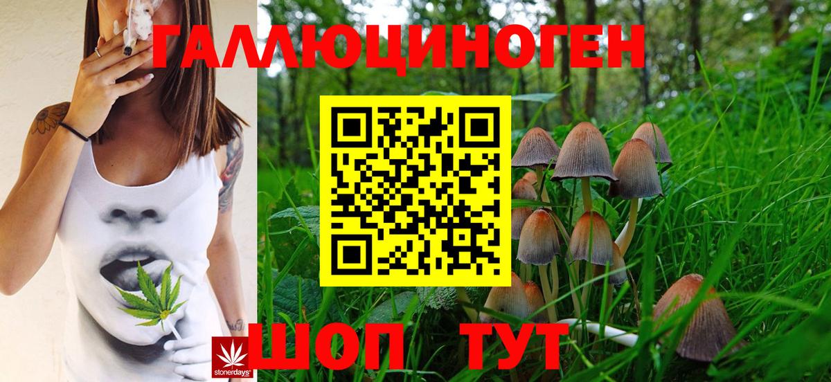 Псилоцибиновые грибы Magic Shrooms  Вход с VPN  Кстово 